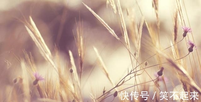 贵人|九月底前，势头正盛的星座，爱情、事业双丰收，贵人扶持喜事多