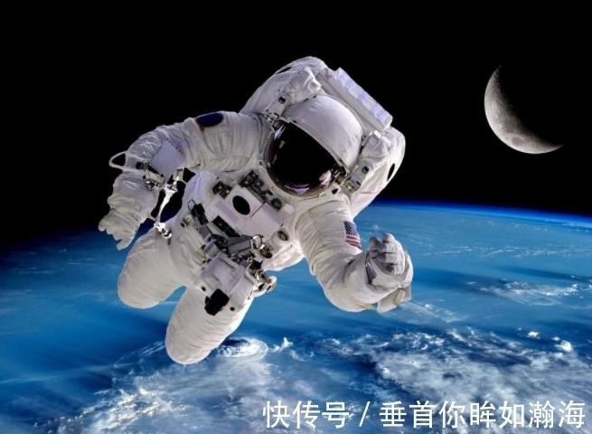 曾被送去外太空的2只动物 62年了 它们现在怎么样了 全网搜