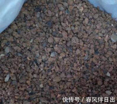 多肉|养植多肉，如何配土？