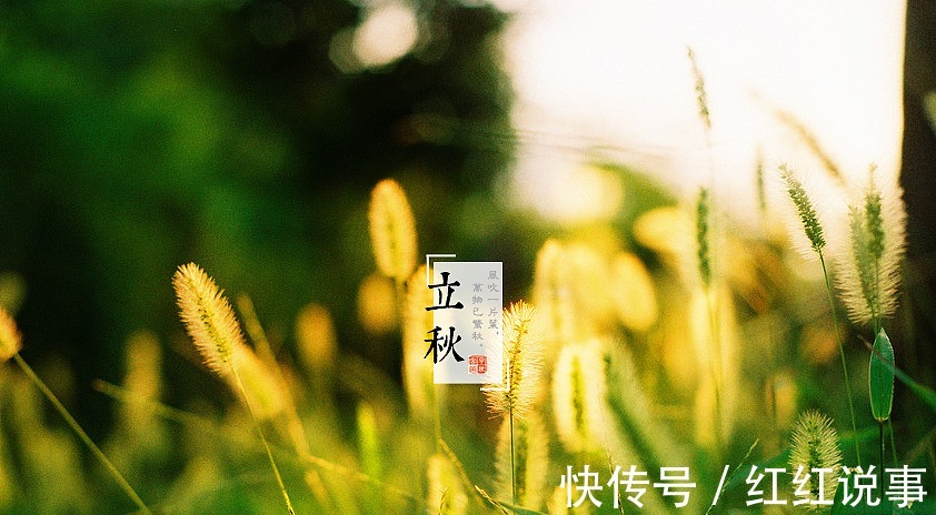 绿叶蔬菜|立秋以后，买上20斤小白菜晒一晒，冬天炖肉吃特别香，方法教给您！