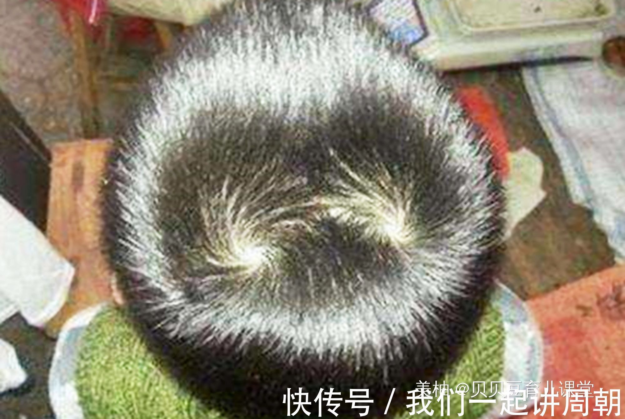 小丽|“一精二楞三蛮横”孩子头顶发旋数量究竟代表了啥?看完就明白了