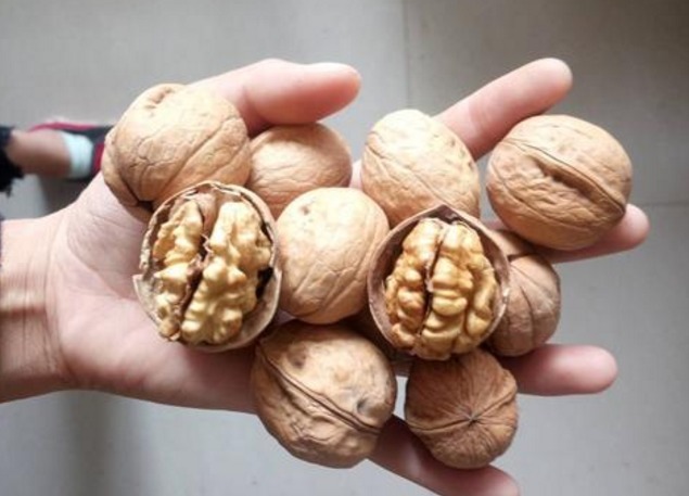 大脑|大脑最爱的食物,居然不是核桃!补脑第一名是它!完全没想到