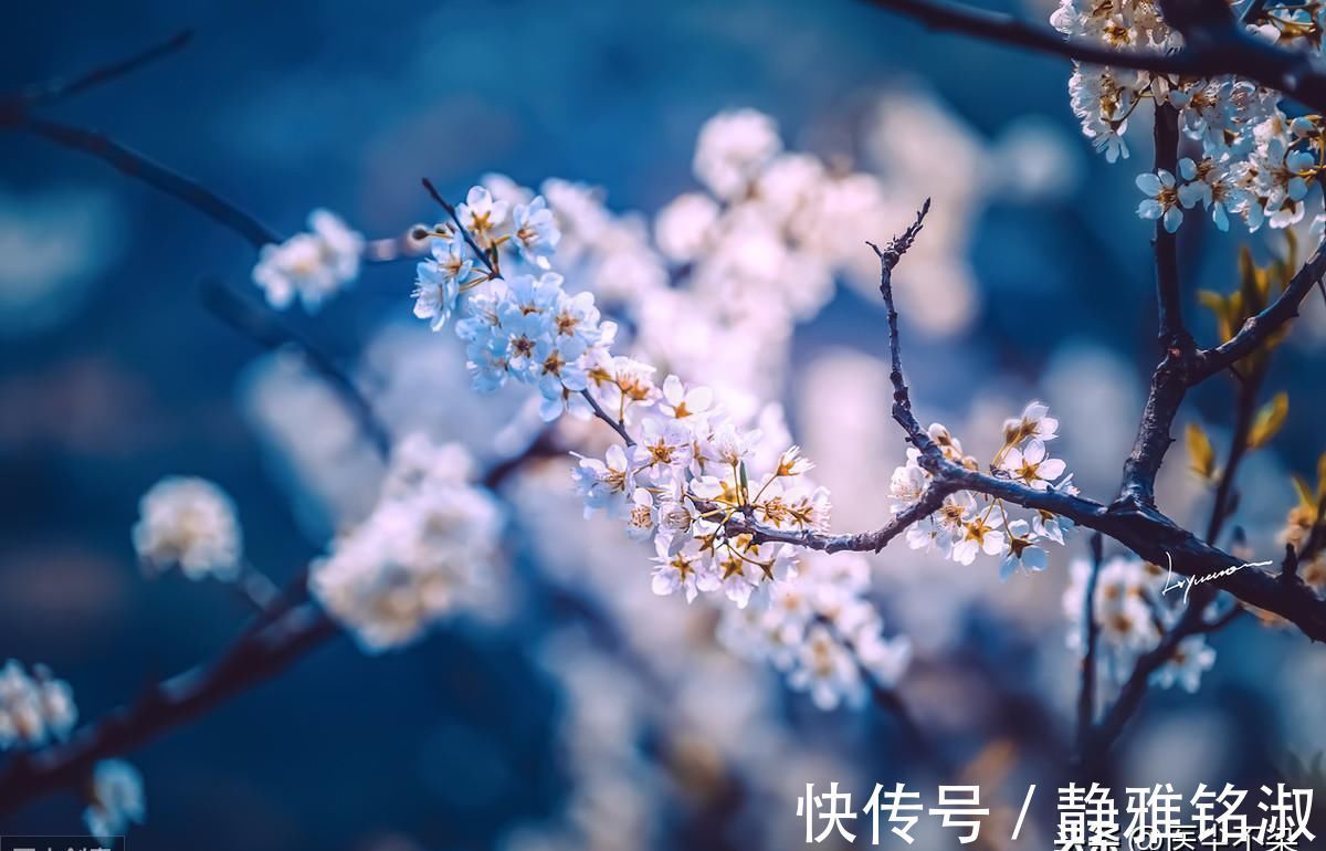 肠鸣腹泻|脾虚了,天天肠鸣腹泻不消化,十年的旧疾能治好吗试试这个经验