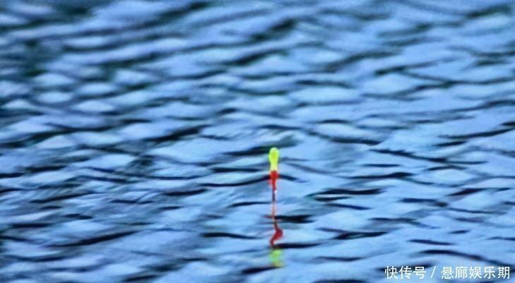 浮漂|新手调漂,如何准确调漂找底以及更好的调节浮漂灵敏度,看这里
