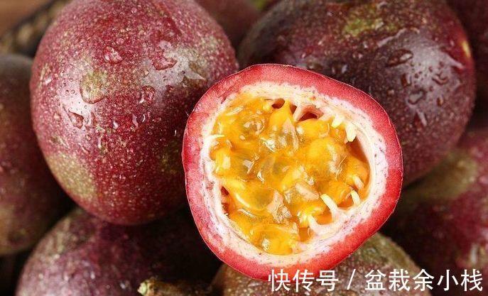 定粉酶|秋天要推荐常吃四种食物，排毒养颜、延缓衰老，早吃早好