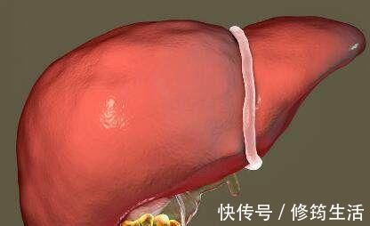 养肝|肝病的“死对头”, 只要每天吃一点, 排毒养肝, 肝病不攻自破