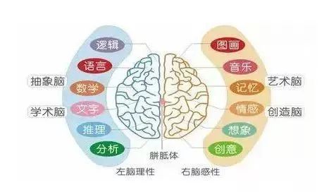 快!限量门票免费领!《最强大脑》国际记忆教练来厦开课啦!