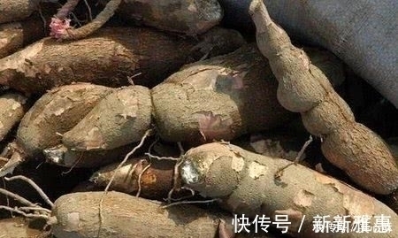 毒素|此高营养的植物却含有毒素,美国人从不碰,大家却常吃