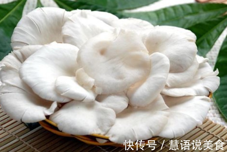 食用盐|秋冬换季时,多给孩子吃此菜,不仅好吃,还能促进小孩大脑发育