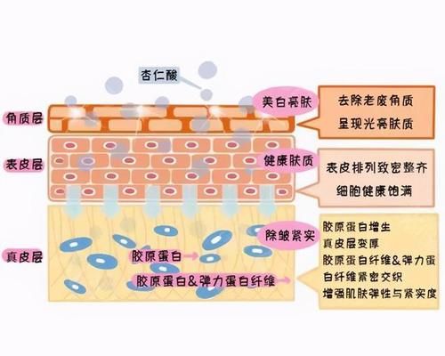 还在顽强抵抗油皮痘痘肌？果酸换肤，剥掉你的面部瑕疵（二）