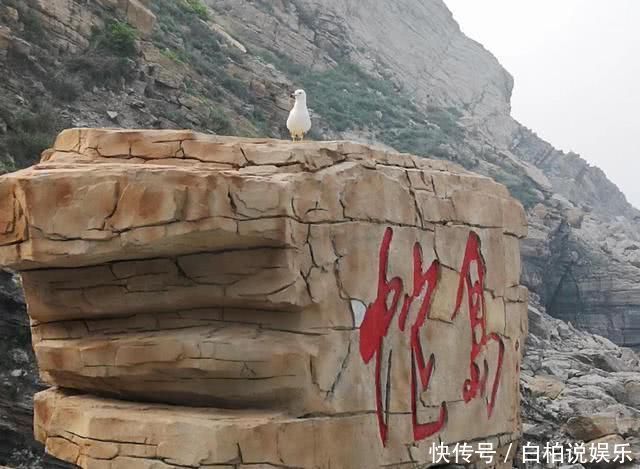 生活|我国两座天差地别的蛇岛，一个无人问津，另一个却为旅游胜地