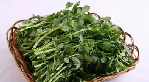 降脂|冬天不妨坚持吃3种食物,降糖降脂、延缓衰老,早吃早好