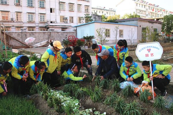 健康路小学|健康路小学组织学生到迎江区活动中心开展实践体验活动