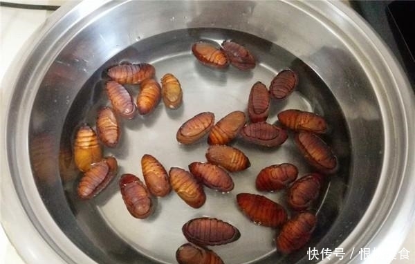 食用|这菜好多人不敢吃,不知常吃延缓衰老、降血脂,胜过化妆品保健品