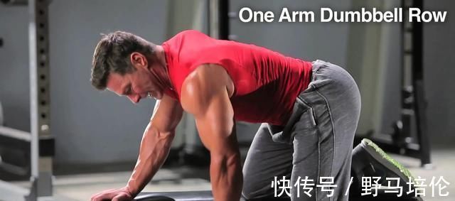 训练|那些“总是被忽视”的背部动作,实际上是你变强的秘技!