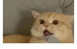 周奇墨|脫口秀與真人秀的結合，是潘弘春和他的盲盒