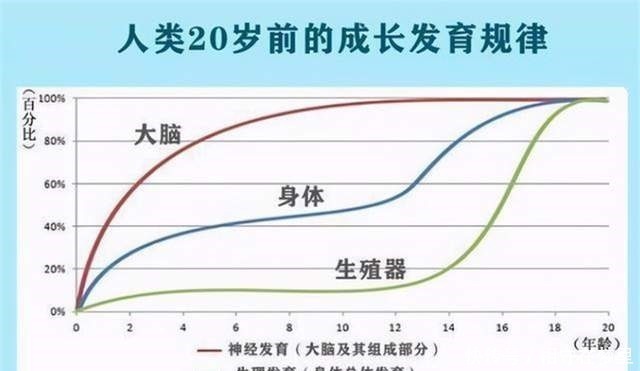 发育|哈佛大学研究发现:孩子在成长中有3次变聪明的机会,家长要抓住