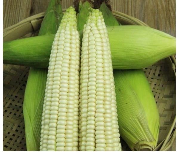 保鲜膜|嫩玉米吃不完，别直接冷冻，教你3招，放1年还鲜嫩好吃！