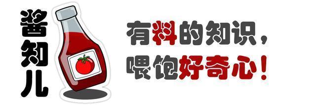 山本五十六被击落后 寻找他的士兵陆续失踪 幸存者战后吐露真相 全网搜