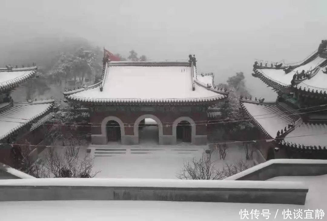 中年|难得一见的春日雪景，美到心醉！