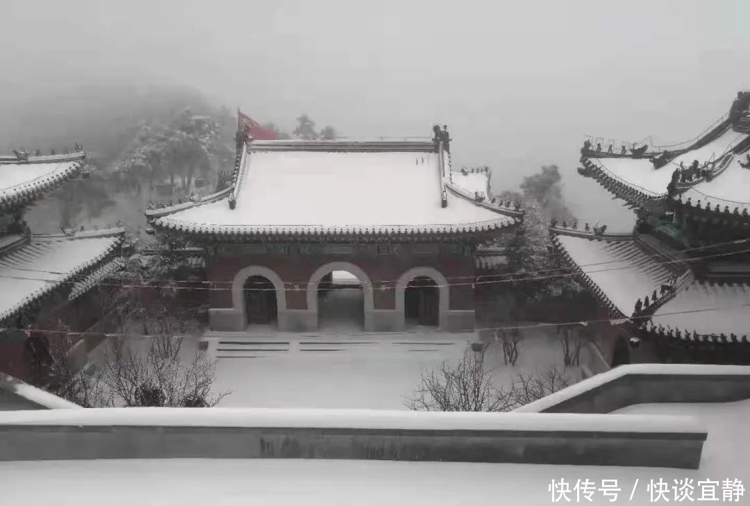 中年|难得一见的春日雪景,美到心醉!