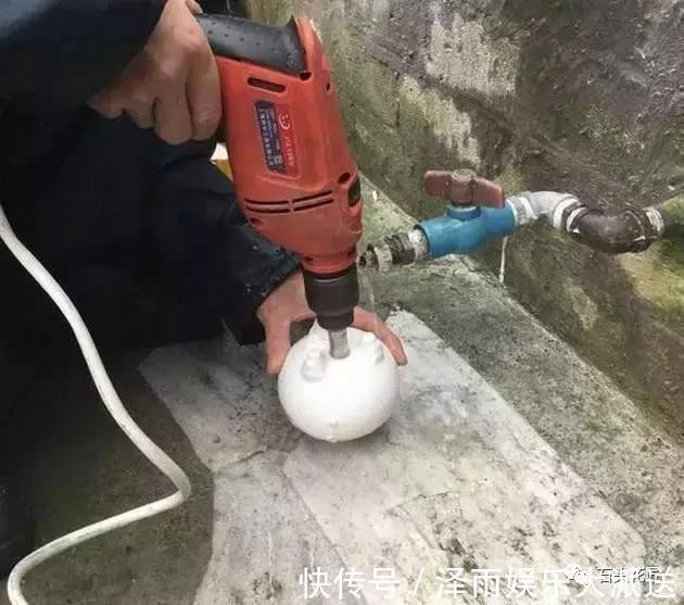 过年家里有“酒瓶”,教你10分钟做“花盆”,比买的还“好看”