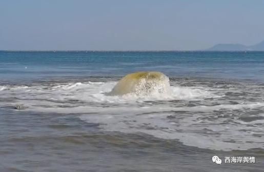 海军公园海面惊现“趵突泉”！