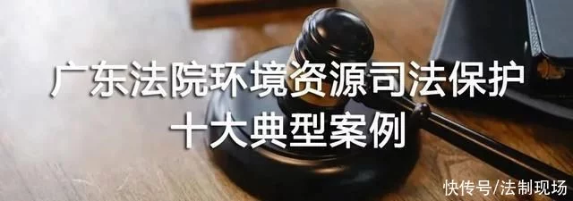 广东高院发布环境资源司法保护十大典型案例