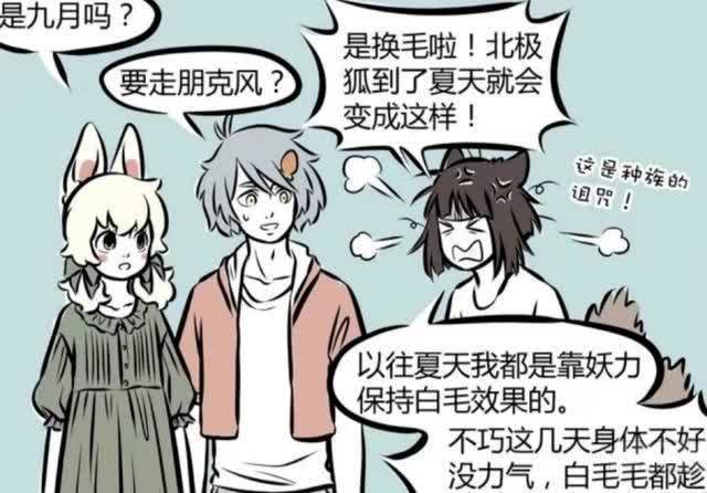 非人哉|非人哉:九月的设定是北极狐?品种和妲己差别好大