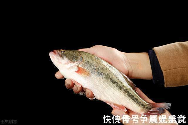 清蒸|买鲈鱼时，个头大的并不是好的，认准这几点，鱼贩子都夸你是内行