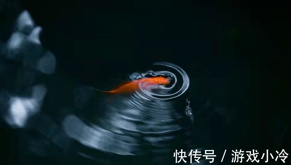 陶弘景！全篇仅有六十八个字，景色与雅趣共存，是骈文中的必读精品！