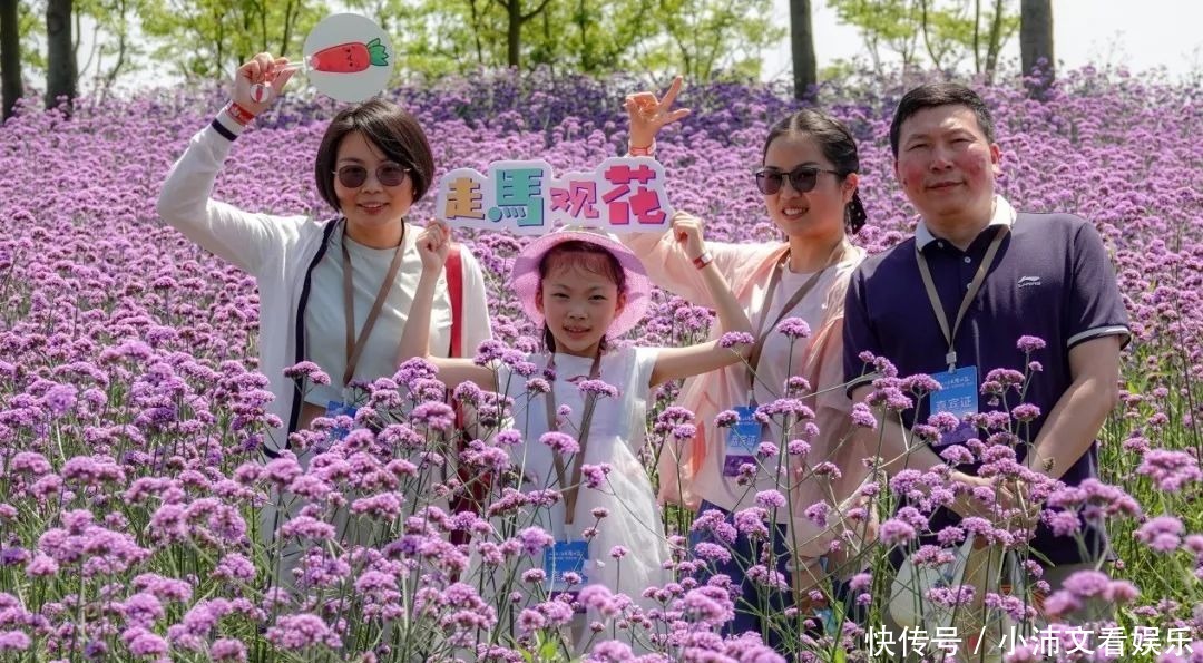 坐红色巴士 赏紫色浪漫 走马观花 漫步薰衣草公园 天合乐学帮助家长发现孩子的更多可能