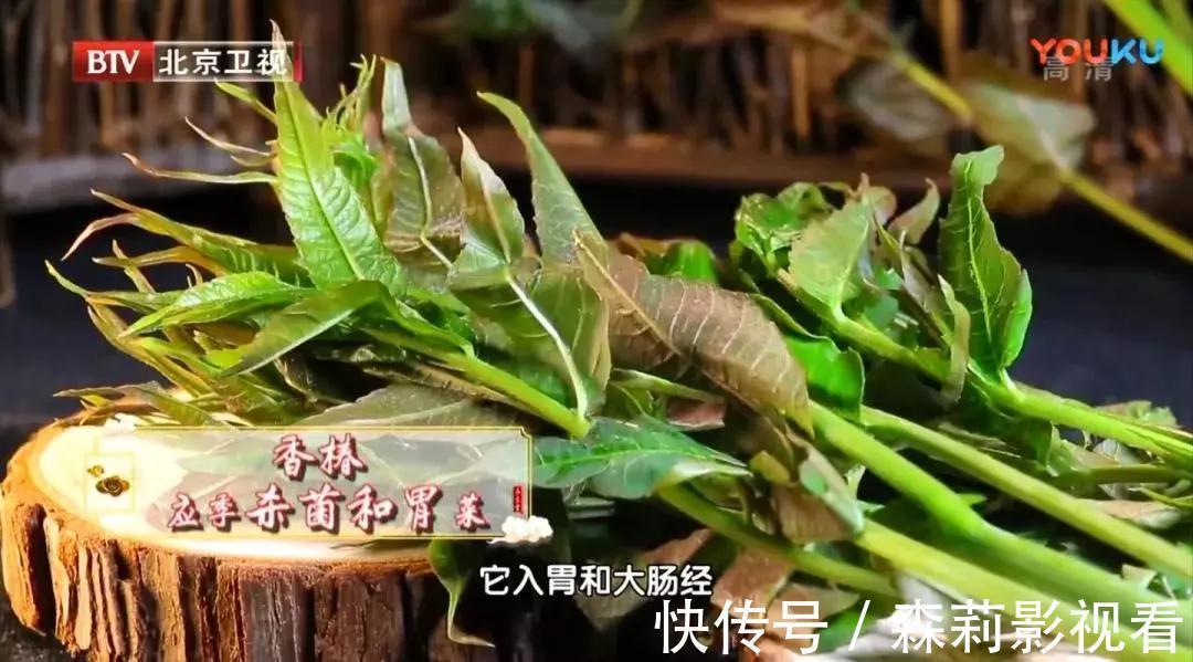 豆芽|老中医春季常吃“长寿芽”,比花生营养,比黄豆芽更爽脆