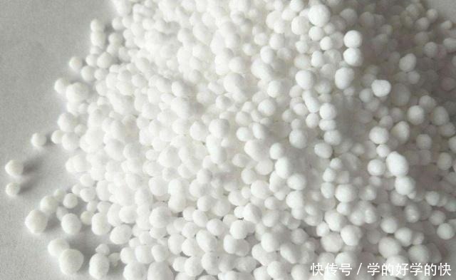 植物|别再用淘米水、大豆水养花了,喂点“这颗粒”,肥效足,生长更快!