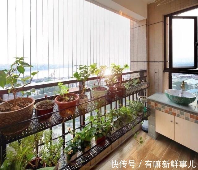 阳台|别人家颜值炸裂的阳台,是如何优雅地晒衣服的!