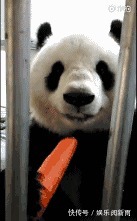 |搞笑GIF:兄弟 对不住了 等我结婚的时候你记得过来