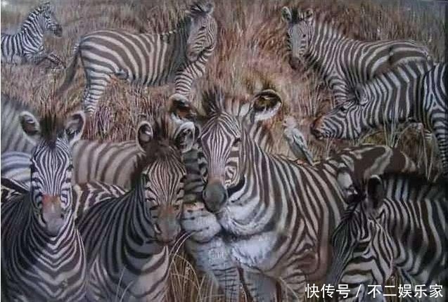  测试|爆准痴呆测试：能在图中找到除斑马以外的3种动物，老了不怕变呆