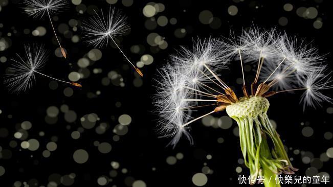 油腻食物|胆石病怎么办？5种中成药化瘀散结，利胆排石，改善疼痛