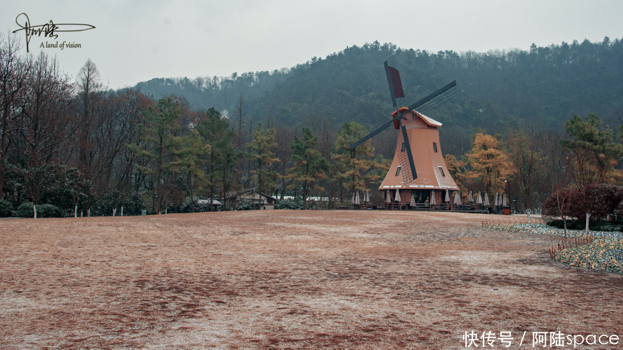 杭州的初雪，总是来得那么突然，使美景更添诗意