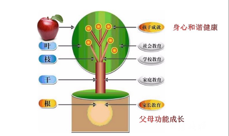 技巧|家长的教育是孩子身心健康的“根” 这些亲子沟通技巧快了解