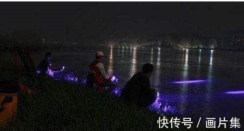 当下鱼为什么难钓了？原来是因为这些原因，难怪钓友们会感慨