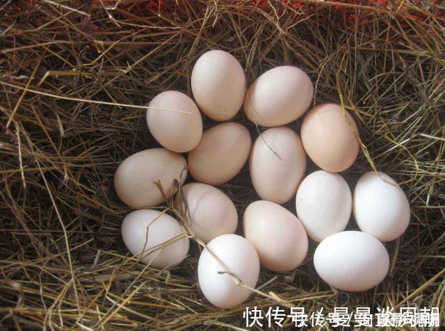 吃鸡蛋时不能做这6件事,很多人不知道,多数人都在做