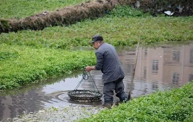 6种蔬菜，也许含有细菌和寄生虫，趁早撤离饭桌！你是否也爱吃？