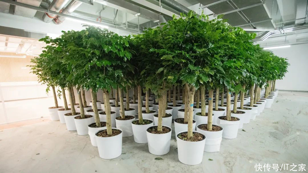 笔记本|蚂蚁集团支付宝搬进新家「蚂蚁 A 空间」