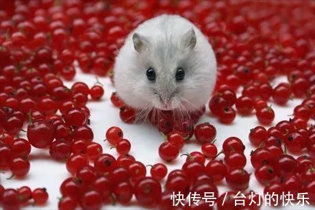 |幽默笑话:《尴尬!》