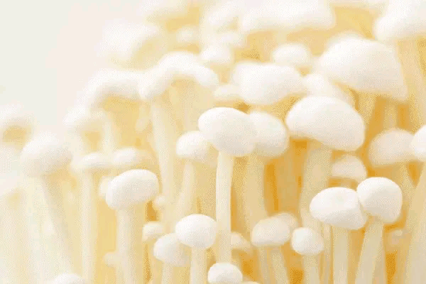 手把手教你做金针菇炒蛋别再说你学不会