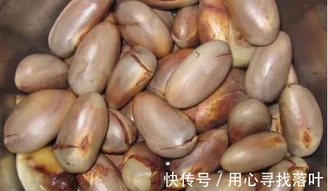 菠萝蜜核别再丢垃圾桶了,学会它的3种吃法,比吃红薯和板栗都香!