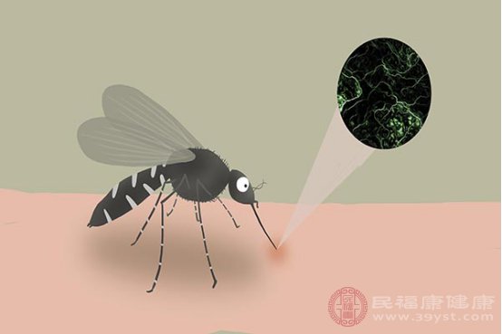 被毒蚊子咬了腫大很硬怎么治療