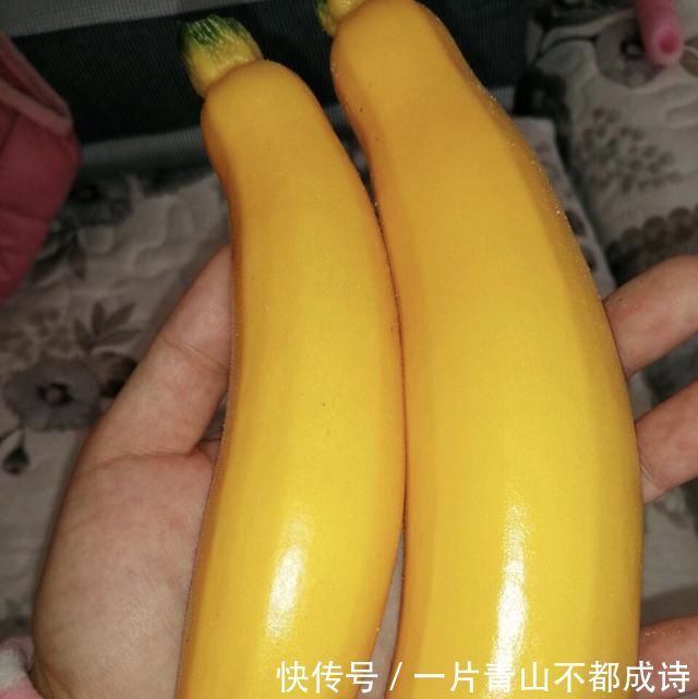 奶奶在花盆里种“鸡蛋、香蕉”，种一次能吃5个月，邻居都来学习