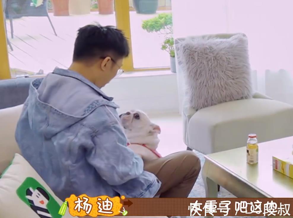 客人|宋妍霏家不尊重客人自欺欺人摆盘自热米饭招待，杨迪也救不了场